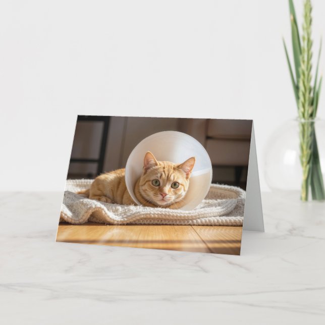 Cartão Pet Get Well Ginger Cat Wearing a Cone of Shame (Frente)