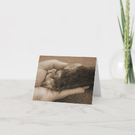 Cartão Pet Loss - Touch of an angel