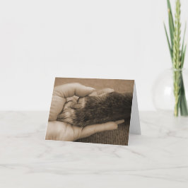 Cartão Pet Loss - Touch of an angel