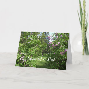 Cartão Pet Sympathely-Lovely Lilac Bush Card