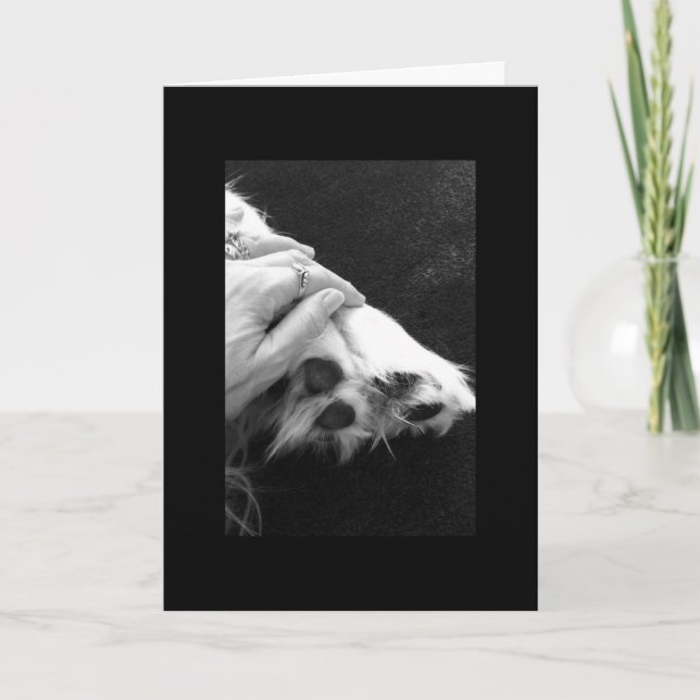 Cartão Pet sympathy (Frente)