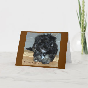 Cartão Pet Sympathy