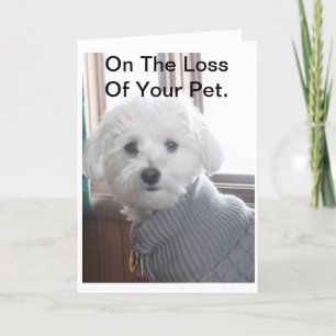 Cartão Pet Sympathy Card