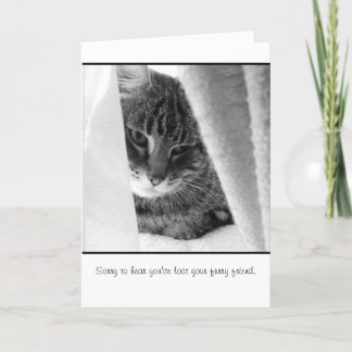 Cartão pet sympathy card