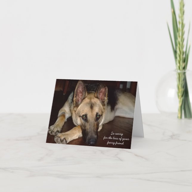 Cartão Pet sympathy card German Shepherd Rescue (Frente)
