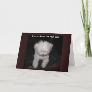 Cartão Pet Sympathy Card - Maltese Dog Praying