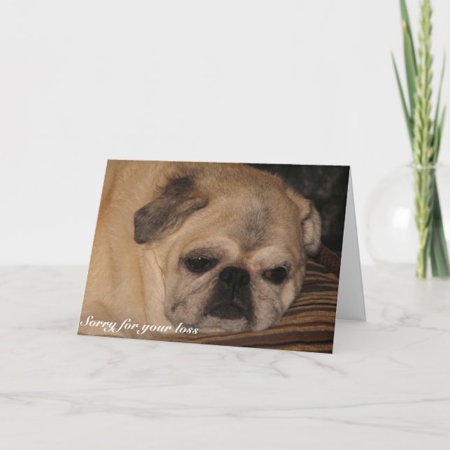 Cartão Pet sympathy card Pug (Frente)