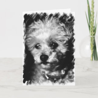 Cartão Pet Sympathy - Greeting Card