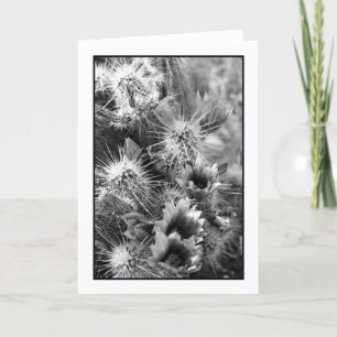 Cartão Petal Opposites Greeting Card