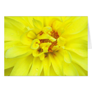 Cartão Pétalas Amarelas
