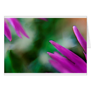 Cartão Pétalas cor-de-rosa do cacto