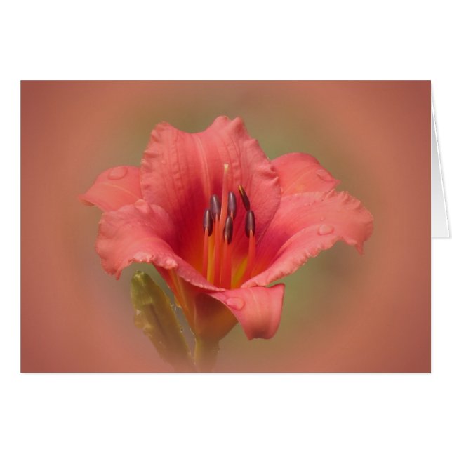 Cartão Pétalas de Morango (Frente Horizontal)