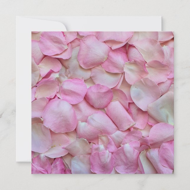 Cartão Pétalas Rosa Rosa Rosa Rosa Rosa Rosa Rosa Rosa Ro (Frente)