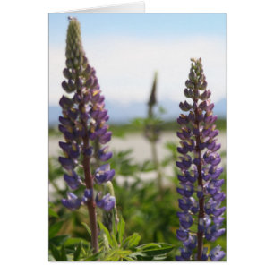 Cartão pétalas roxas