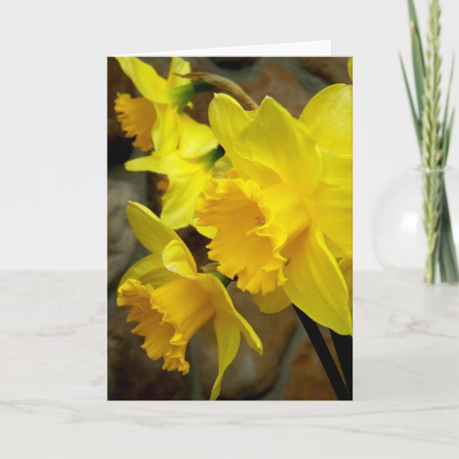 Cartão Pétalas Sunny (Frente)