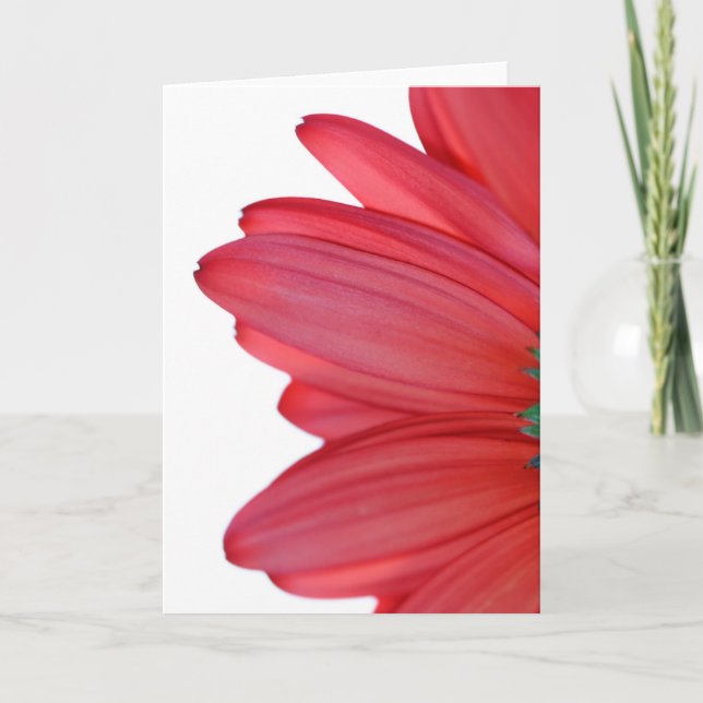 Cartão Petals from heaven (Frente)