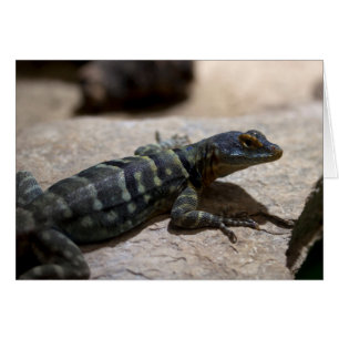 Cartão Petrosaurus thalassinus