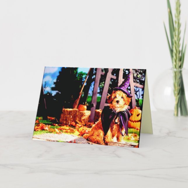 Cartão Pets Love Dressing Up (Frente)