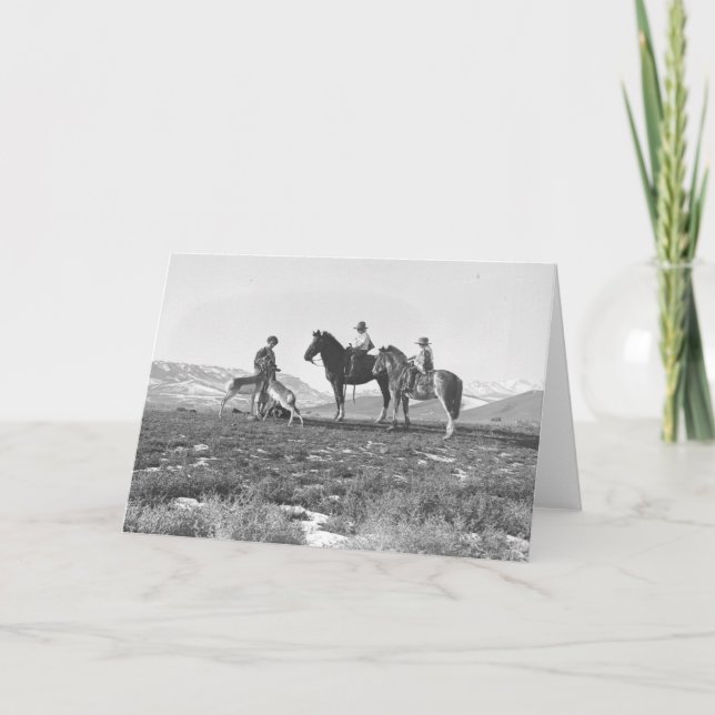 Cartão Petting Antílopes. (Frente)