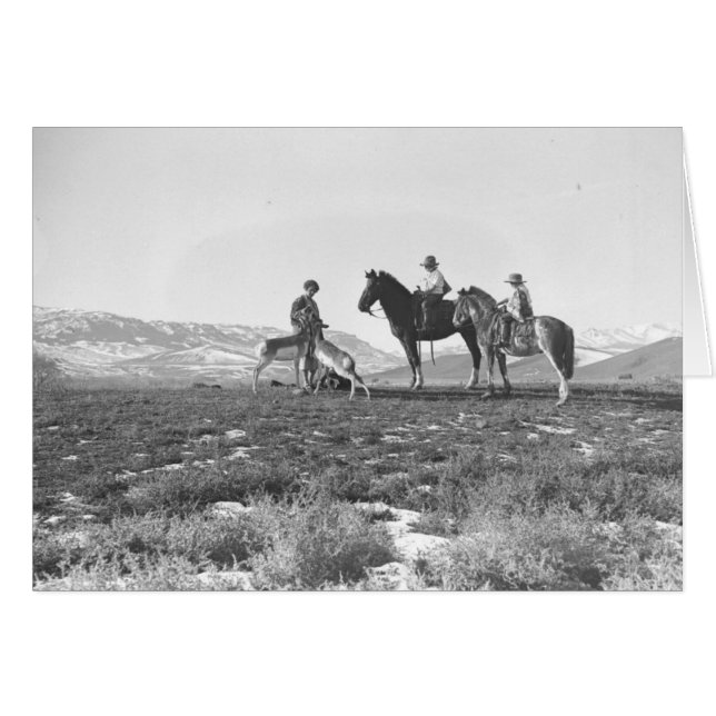 Cartão Petting antílopes (Frente Horizontal)