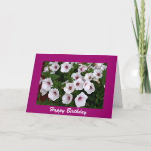 Cartão Petunia Birthday Saudação