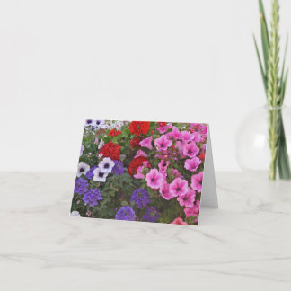 Cartão petunia flowers gift card