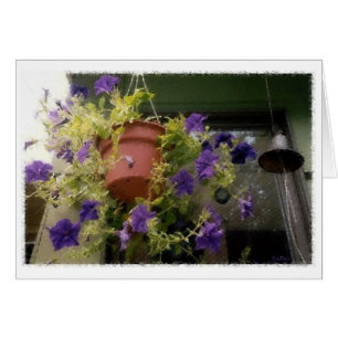 Cartão Petunias