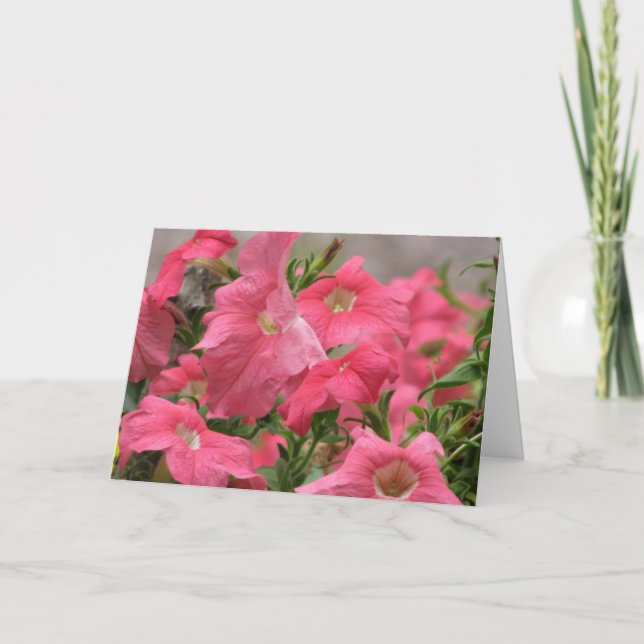 Cartão Petúnias cor-de-rosa (Frente)
