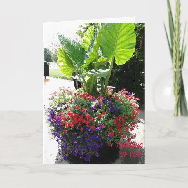 Cartão Petunias e Elefante, pensando em você (Frente)