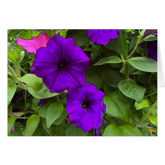 Cartão Petunias roxas - Placa de arte de 5" x 7" (Frente Horizontal)