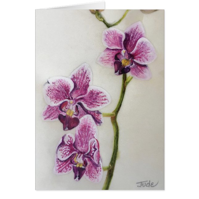 Cartão Phalaenopsis de "orquídea traça" 5" x 7", com (Frente)