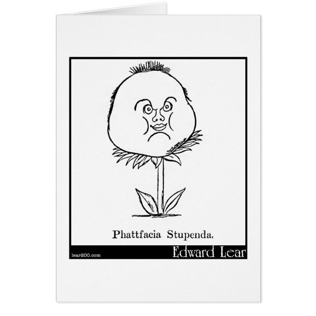 Cartão Phattfacia Stupenda. (Frente)