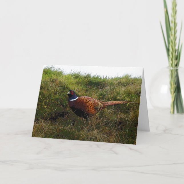 Cartão Pheasant Birthday card (Frente)