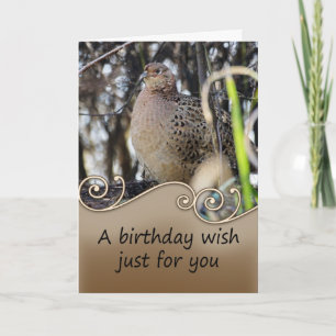 Cartão Pheasant Birthday Card - Wildlife Birthday Card