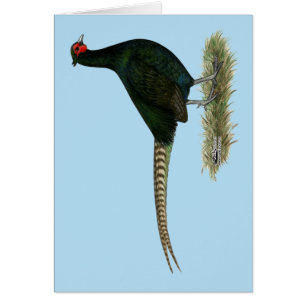 Cartão Pheasant Black Rooster