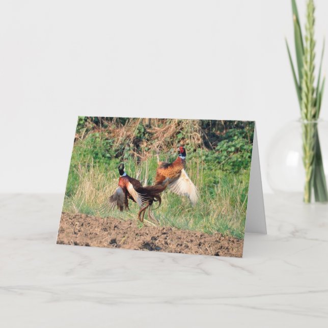 Cartão Pheasants fighting greeting card (Frente)