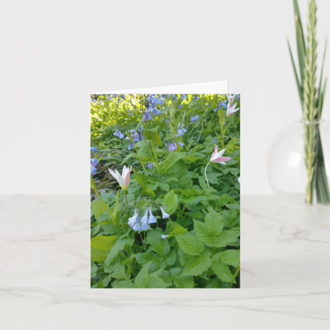 Cartão Philippians 4:4 Blank Card (Frente)