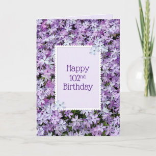 Cartão Phlox Roxo Para 102º Aniversário