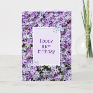 Cartão Phlox Roxo Para 107.º Aniversário