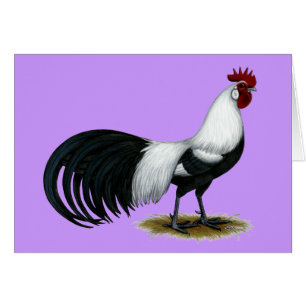 Cartão Phoenix: Galo de prata de Duckwing
