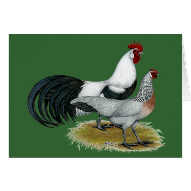 Cartão Phoenix:  Pares de prata de Duckwing (Frente Horizontal)