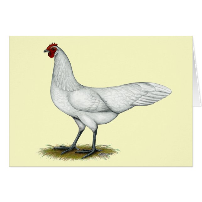 Cartão Phoenix: White Hen (Frente horizontal)