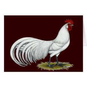 Cartão Phoenix: White Rooster