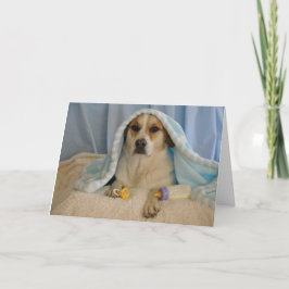 Cartão Photo of a dog as a baby boy