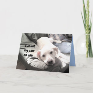 Cartão Photo of Cute Lazy White Dog Hanging Out with Dad