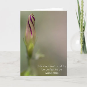 Cartão Photograph Morning Glory Flower Bud Greeting Card