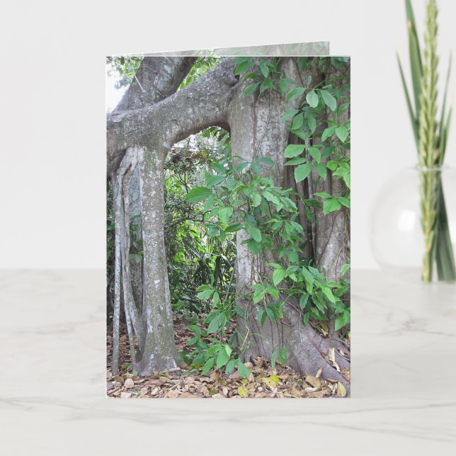 Cartão Pi alguém? (Frente)