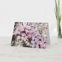 Cartão Pia Brilhante, Cola Vermelha.