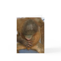 Piada da cirurgia da vasectomia