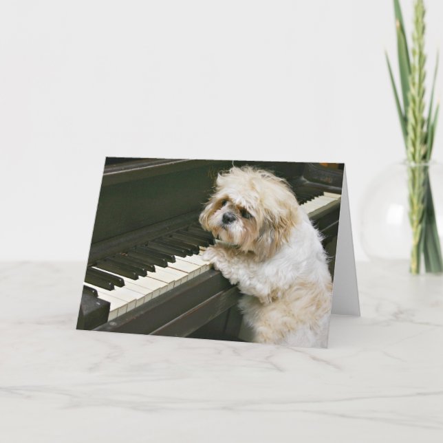 Cartão pianista (Frente)